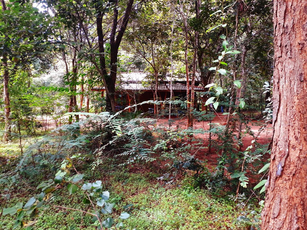 Aralu Habarana Resort Exterior photo
