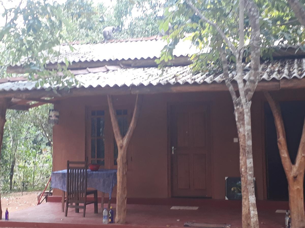 Aralu Habarana Resort Exterior photo